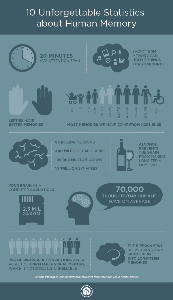 Infographic: 10 Unforgettable Statistics about Human Memory.  Average attention span: 20 minutes; short term memory can hold 7 things for 7 seconds; lefties have better memories; most memories we have come from ages 15-25; the brain has: 96 billion neurons, 400 miles of capillaries, 100,000 miles of axons, 10 trillion synapses; alcohol prevents the brain from making long-term memories; your brain as a computer could hold 2.5 million gigabytes; humans have on average 70,000 thoughts per day; 75% of wrongful convictions are a result of unreliable visual memory, which is notoriously unreliable; the hippocampus helps transform short-term into long-term memories.